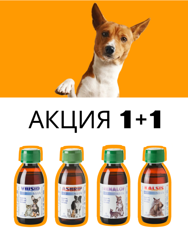 https://www.orai.kz/katalog-produkcii/veterinariya/