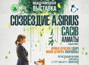 Международная выставка собак