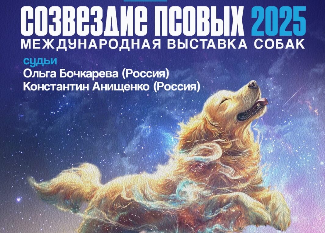 Созвездие псовых 2025