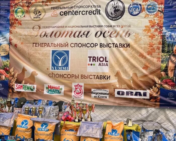 Международная выставка собак