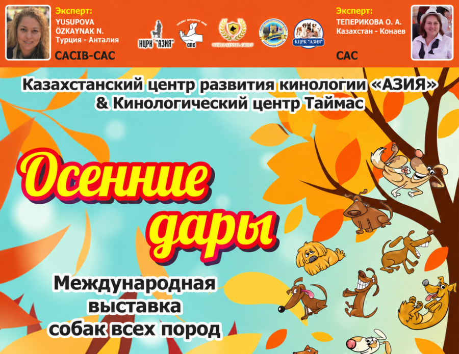 Международная выставка собак "Осенние дары"