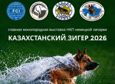 Выставка немецких овчарок «Казахстанский Зигер — 2026»